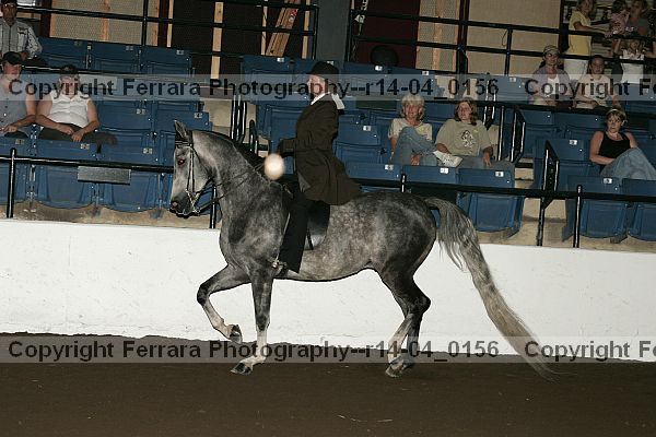 Proof Number r14-04_0156